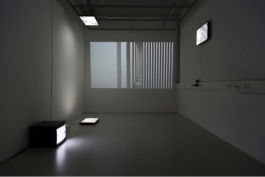 Maria-Magdalena Ianchis