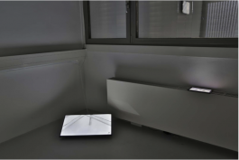 Maria-Magdalena Ianchis