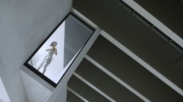 Maria-Magdalena Ianchis