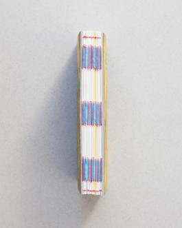 Maria-Magdalena Ianchis