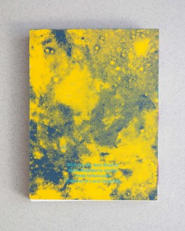 Maria-Magdalena Ianchis