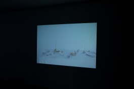 Maria-Magdalena Ianchis