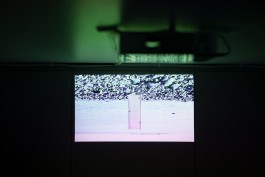 Maria-Magdalena Ianchis