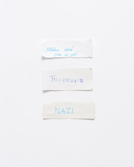 Maria-Magdalena Ianchis