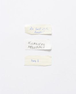 Maria-Magdalena Ianchis