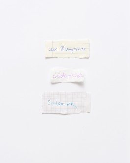 Maria-Magdalena Ianchis