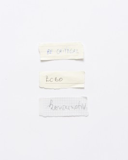 Maria-Magdalena Ianchis