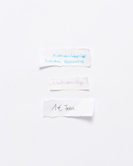 Maria-Magdalena Ianchis