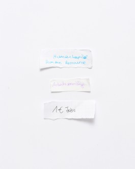 Maria-Magdalena Ianchis