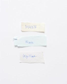 Maria-Magdalena Ianchis