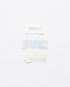 Maria-Magdalena Ianchis