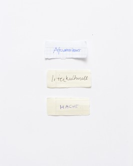 Maria-Magdalena Ianchis