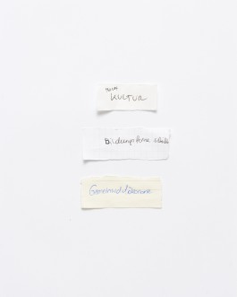 Maria-Magdalena Ianchis