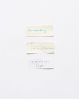 Maria-Magdalena Ianchis