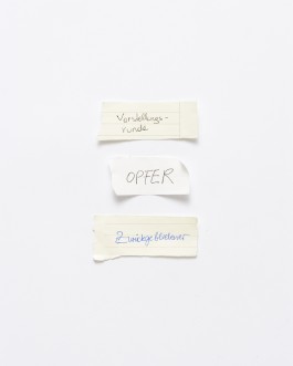 Maria-Magdalena Ianchis