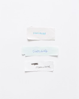 Maria-Magdalena Ianchis