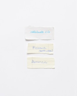 Maria-Magdalena Ianchis