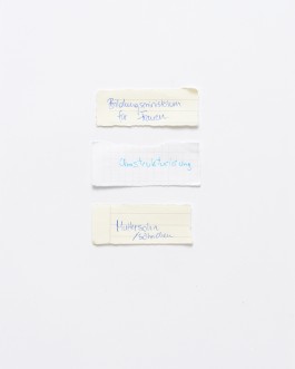 Maria-Magdalena Ianchis