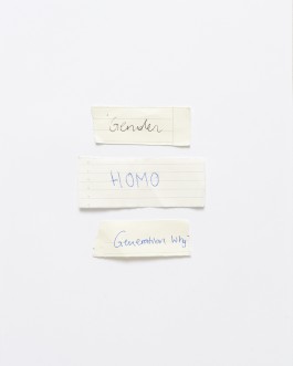 Maria-Magdalena Ianchis