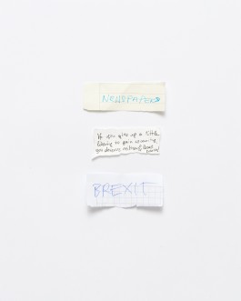 Maria-Magdalena Ianchis