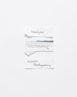 Maria-Magdalena Ianchis