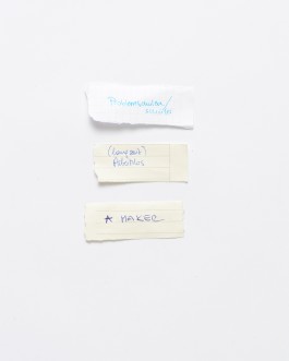 Maria-Magdalena Ianchis