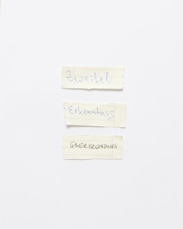 Maria-Magdalena Ianchis