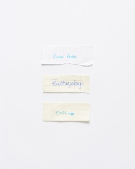 Maria-Magdalena Ianchis