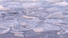 Maria-Magdalena Ianchis