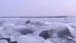 Maria-Magdalena Ianchis