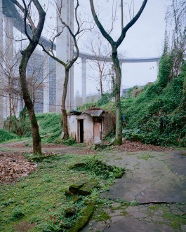 Maria-Magdalena Ianchis