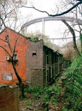 Maria-Magdalena Ianchis