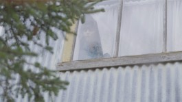 Maria-Magdalena Ianchis