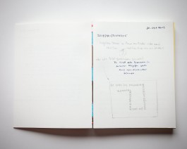 Maria-Magdalena Ianchis