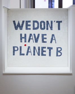 Maria-Magdalena Ianchis