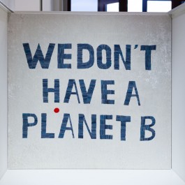 Maria-Magdalena Ianchis