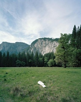 Maria-Magdalena Ianchis