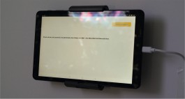 Maria-Magdalena Ianchis